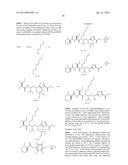 PROCESS FOR PREPARING TUBULYSINS diagram and image