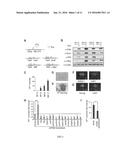 PHF20 AND JMJD3 COMPOSITIONS AND METHODS OF USE IN CANCER IMMUNOTHERAPY diagram and image