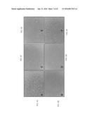 USE OF PLANT CELLS EXPRESSING A TNFalpha POLYPEPTIDE INHIBITOR IN THERAPY diagram and image