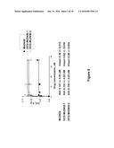 NEW ANTIBODY FRAGMENTS, COMPOSITIONS AND USES THEREOF diagram and image