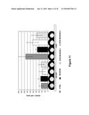 NEW ANTIBODY FRAGMENTS, COMPOSITIONS AND USES THEREOF diagram and image