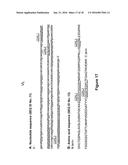 NEW ANTIBODY FRAGMENTS, COMPOSITIONS AND USES THEREOF diagram and image