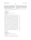 NEW ANTIBODY FRAGMENTS, COMPOSITIONS AND USES THEREOF diagram and image