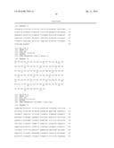 NEW ANTIBODY FRAGMENTS, COMPOSITIONS AND USES THEREOF diagram and image