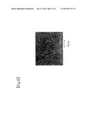 PROCESS FOR PRODUCING SPONGELIKE STRUCTURE diagram and image