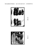 NUTRIENT RICH COMPOSITIONS diagram and image