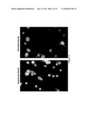 SYSTEMS AND METHODS FOR CULTURING EPITHELIAL CELLS diagram and image