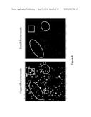 SYSTEMS AND METHODS FOR CULTURING EPITHELIAL CELLS diagram and image