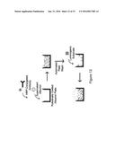 SYSTEMS AND METHODS FOR CULTURING EPITHELIAL CELLS diagram and image