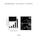 SYSTEMS AND METHODS FOR CULTURING EPITHELIAL CELLS diagram and image