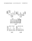 MICRORNAS AS FUNCTIONAL MEDIATORS AND BIOMARKERS OF BONE METASTASIS diagram and image