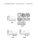 MICRORNAS AS FUNCTIONAL MEDIATORS AND BIOMARKERS OF BONE METASTASIS diagram and image