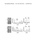 MICRORNAS AS FUNCTIONAL MEDIATORS AND BIOMARKERS OF BONE METASTASIS diagram and image