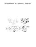 MICRORNAS AS FUNCTIONAL MEDIATORS AND BIOMARKERS OF BONE METASTASIS diagram and image