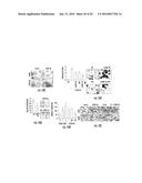 MICRORNAS AS FUNCTIONAL MEDIATORS AND BIOMARKERS OF BONE METASTASIS diagram and image