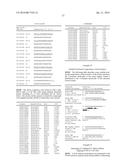 DOUBLE STRAND COMPOSITIONS COMPRISING DIFFERENTIALLY MODIFIED STRANDS FOR     USE IN GENE MODULATION diagram and image