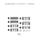 HIGH-THROUGHPUT CARGO DELIVERY INTO LIVE CELLS USING PHOTOTHERMAL     PLATFORMS diagram and image