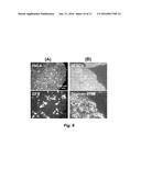 HIGH-THROUGHPUT CARGO DELIVERY INTO LIVE CELLS USING PHOTOTHERMAL     PLATFORMS diagram and image