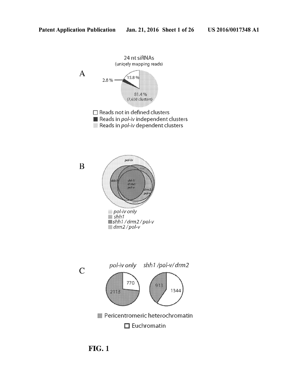 METHODS AND COMPOSITIONS FOR TARGETING RNA POLYMERASES AND NON-CODING RNA     BIOGENESIS TO SPECIFIC LOCI - diagram, schematic, and image 02