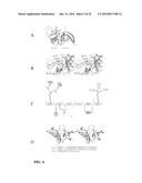 METHODS AND COMPOSITIONS FOR TARGETING RNA POLYMERASES AND NON-CODING RNA     BIOGENESIS TO SPECIFIC LOCI diagram and image