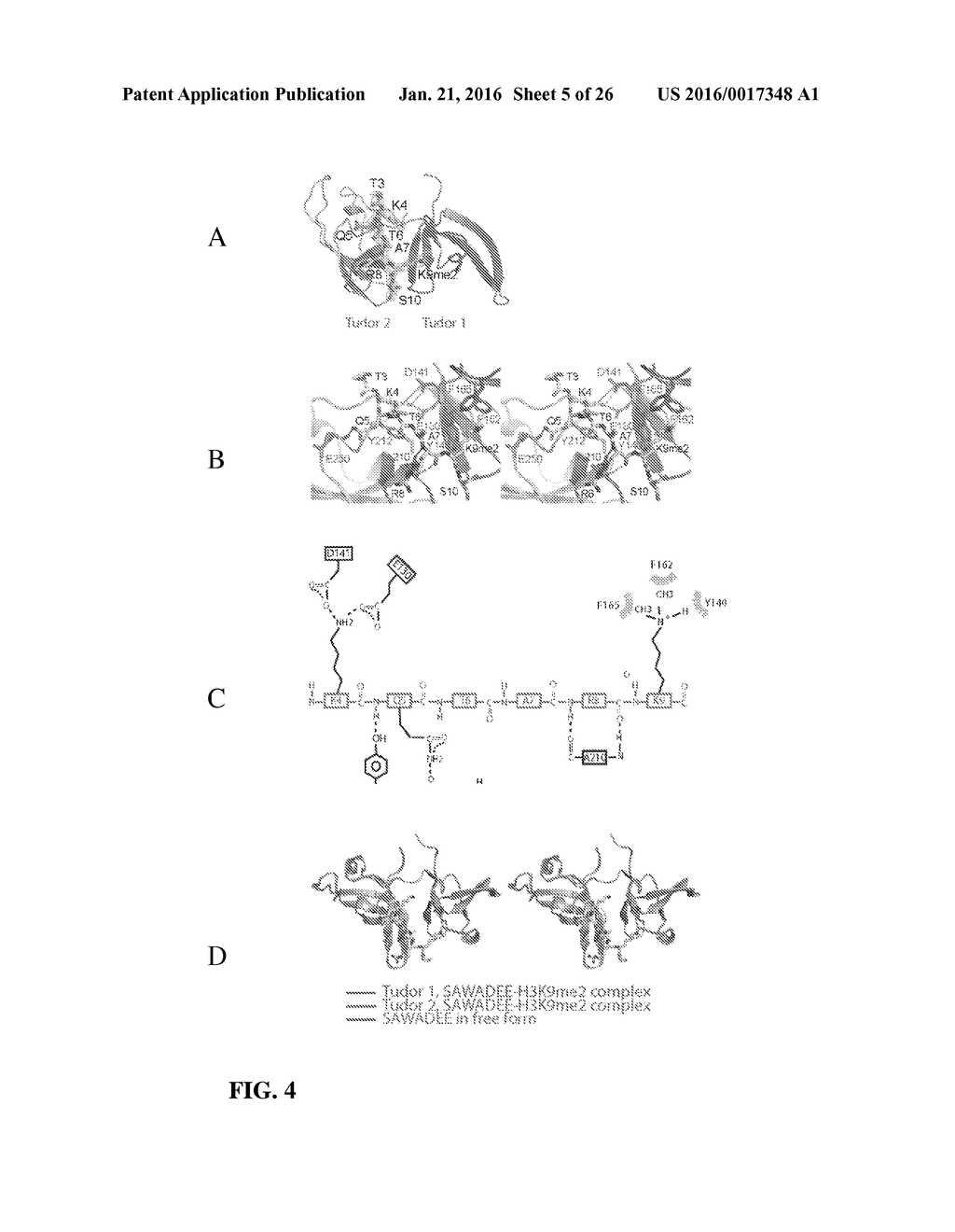 METHODS AND COMPOSITIONS FOR TARGETING RNA POLYMERASES AND NON-CODING RNA     BIOGENESIS TO SPECIFIC LOCI - diagram, schematic, and image 06