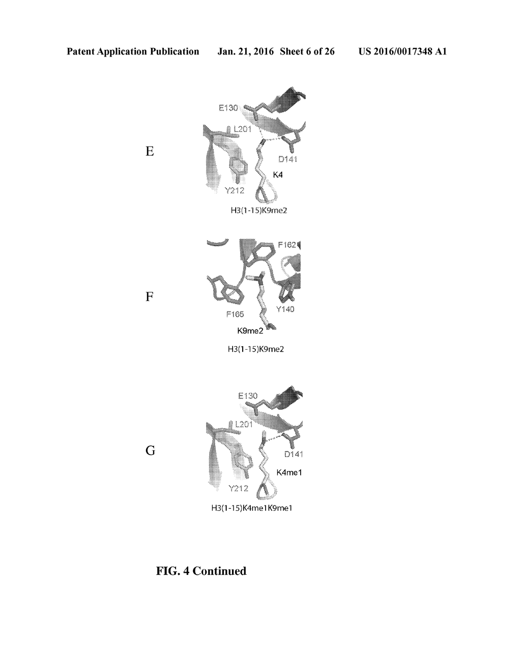 METHODS AND COMPOSITIONS FOR TARGETING RNA POLYMERASES AND NON-CODING RNA     BIOGENESIS TO SPECIFIC LOCI - diagram, schematic, and image 07