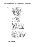 METHODS AND COMPOSITIONS FOR TARGETING RNA POLYMERASES AND NON-CODING RNA     BIOGENESIS TO SPECIFIC LOCI diagram and image