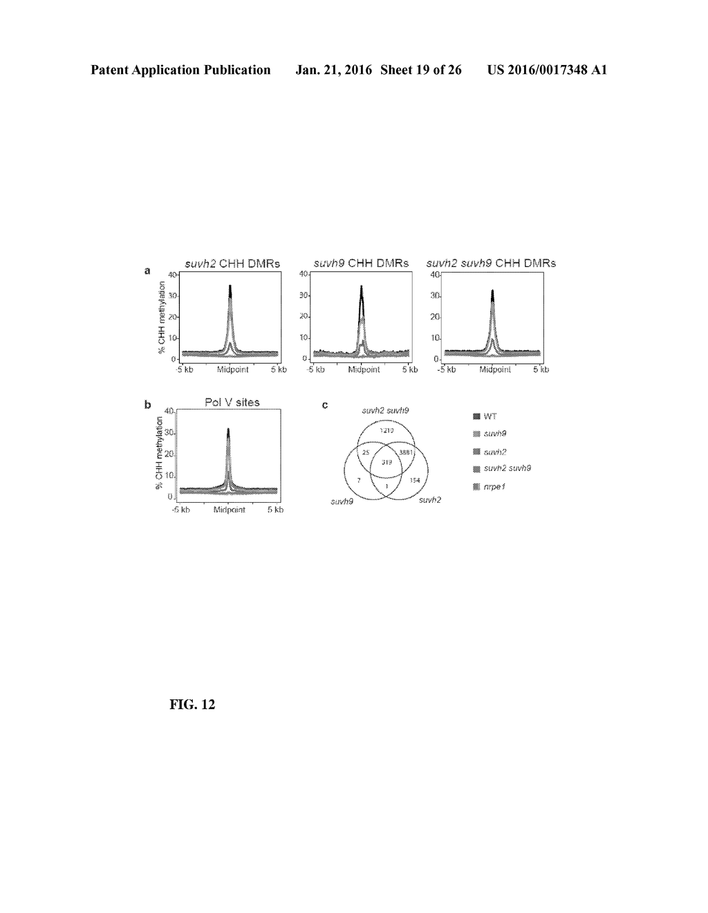 METHODS AND COMPOSITIONS FOR TARGETING RNA POLYMERASES AND NON-CODING RNA     BIOGENESIS TO SPECIFIC LOCI - diagram, schematic, and image 20