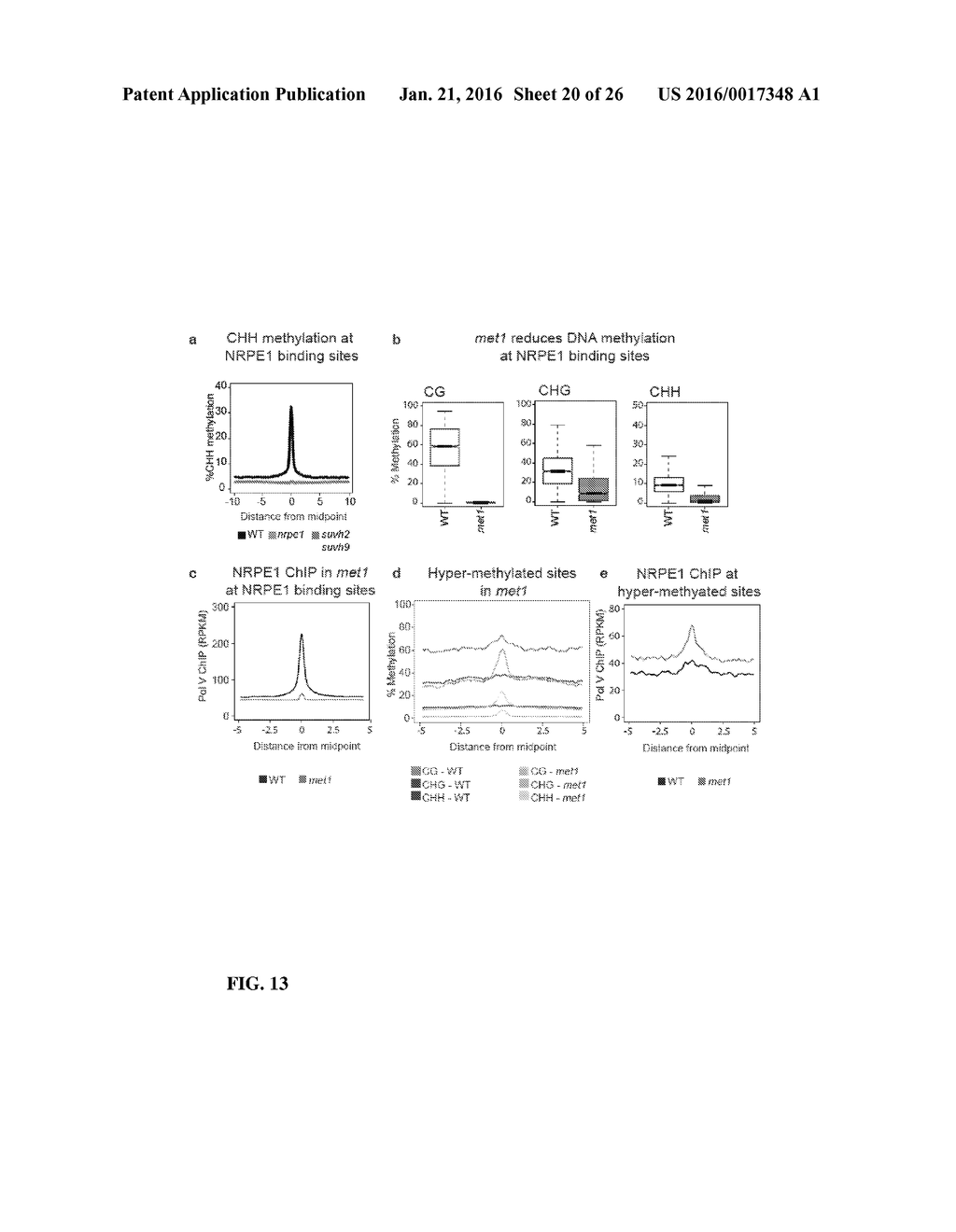 METHODS AND COMPOSITIONS FOR TARGETING RNA POLYMERASES AND NON-CODING RNA     BIOGENESIS TO SPECIFIC LOCI - diagram, schematic, and image 21