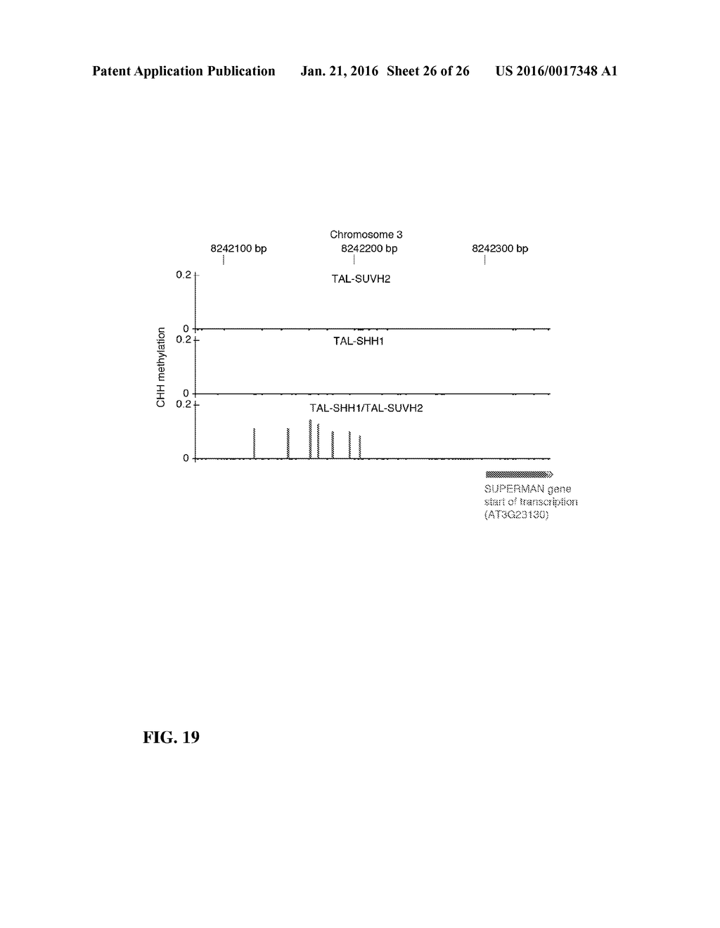 METHODS AND COMPOSITIONS FOR TARGETING RNA POLYMERASES AND NON-CODING RNA     BIOGENESIS TO SPECIFIC LOCI - diagram, schematic, and image 27