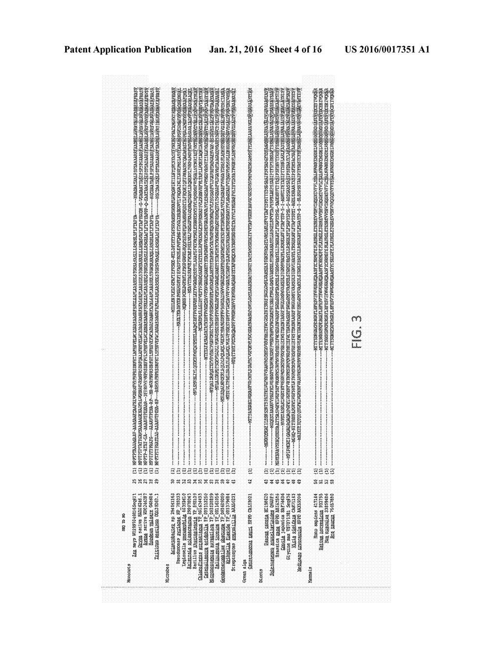 Methods and Compositions for Targeting Sequences of Interest to the     Chloroplast - diagram, schematic, and image 05