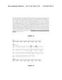 PLANTS HAVING MODIFIED GROWTH CHARACTERISTICS AND A METHOD FOR MAKING THE     SAME diagram and image