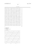 PLANTS WITH ALTERED ROOT ARCHITECTURE, RELATED CONSTRUCTS AND METHODS     INVOLVING GENES ENCODING EXOSTOSIN FAMILY POLYPEPTIDES AND HOMOLOGS     THEREOF diagram and image