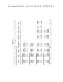 PLANTS WITH ALTERED ROOT ARCHITECTURE, RELATED CONSTRUCTS AND METHODS     INVOLVING GENES ENCODING EXOSTOSIN FAMILY POLYPEPTIDES AND HOMOLOGS     THEREOF diagram and image