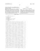 PLANTS WITH ALTERED ROOT ARCHITECTURE, RELATED CONSTRUCTS AND METHODS     INVOLVING GENES ENCODING EXOSTOSIN FAMILY POLYPEPTIDES AND HOMOLOGS     THEREOF diagram and image