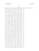 PLANTS WITH ALTERED ROOT ARCHITECTURE, RELATED CONSTRUCTS AND METHODS     INVOLVING GENES ENCODING EXOSTOSIN FAMILY POLYPEPTIDES AND HOMOLOGS     THEREOF diagram and image