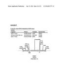 METHODS FOR REGULATING NITROGEN METABOLISM DURING THE PRODUCTION OF     ETHANOL FROM CORN BY METABOLICALLY ENGINEERED YEAST STRAINS diagram and image