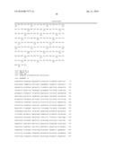 METHODS FOR REGULATING NITROGEN METABOLISM DURING THE PRODUCTION OF     ETHANOL FROM CORN BY METABOLICALLY ENGINEERED YEAST STRAINS diagram and image