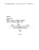 METHODS FOR REGULATING NITROGEN METABOLISM DURING THE PRODUCTION OF     ETHANOL FROM CORN BY METABOLICALLY ENGINEERED YEAST STRAINS diagram and image