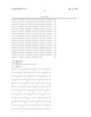 METHODS FOR REGULATING NITROGEN METABOLISM DURING THE PRODUCTION OF     ETHANOL FROM CORN BY METABOLICALLY ENGINEERED YEAST STRAINS diagram and image