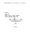 METHODS FOR REGULATING NITROGEN METABOLISM DURING THE PRODUCTION OF     ETHANOL FROM CORN BY METABOLICALLY ENGINEERED YEAST STRAINS diagram and image