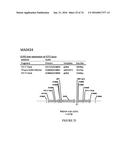 METHODS FOR REGULATING NITROGEN METABOLISM DURING THE PRODUCTION OF     ETHANOL FROM CORN BY METABOLICALLY ENGINEERED YEAST STRAINS diagram and image