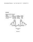 METHODS FOR REGULATING NITROGEN METABOLISM DURING THE PRODUCTION OF     ETHANOL FROM CORN BY METABOLICALLY ENGINEERED YEAST STRAINS diagram and image