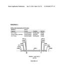 METHODS FOR REGULATING NITROGEN METABOLISM DURING THE PRODUCTION OF     ETHANOL FROM CORN BY METABOLICALLY ENGINEERED YEAST STRAINS diagram and image