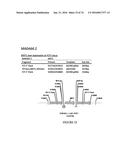 METHODS FOR REGULATING NITROGEN METABOLISM DURING THE PRODUCTION OF     ETHANOL FROM CORN BY METABOLICALLY ENGINEERED YEAST STRAINS diagram and image