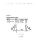 METHODS FOR REGULATING NITROGEN METABOLISM DURING THE PRODUCTION OF     ETHANOL FROM CORN BY METABOLICALLY ENGINEERED YEAST STRAINS diagram and image