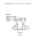 METHODS FOR REGULATING NITROGEN METABOLISM DURING THE PRODUCTION OF     ETHANOL FROM CORN BY METABOLICALLY ENGINEERED YEAST STRAINS diagram and image