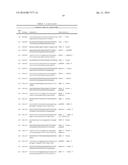 METHODS FOR REGULATING NITROGEN METABOLISM DURING THE PRODUCTION OF     ETHANOL FROM CORN BY METABOLICALLY ENGINEERED YEAST STRAINS diagram and image