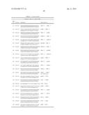 METHODS FOR REGULATING NITROGEN METABOLISM DURING THE PRODUCTION OF     ETHANOL FROM CORN BY METABOLICALLY ENGINEERED YEAST STRAINS diagram and image