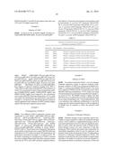 METHODS FOR REGULATING NITROGEN METABOLISM DURING THE PRODUCTION OF     ETHANOL FROM CORN BY METABOLICALLY ENGINEERED YEAST STRAINS diagram and image